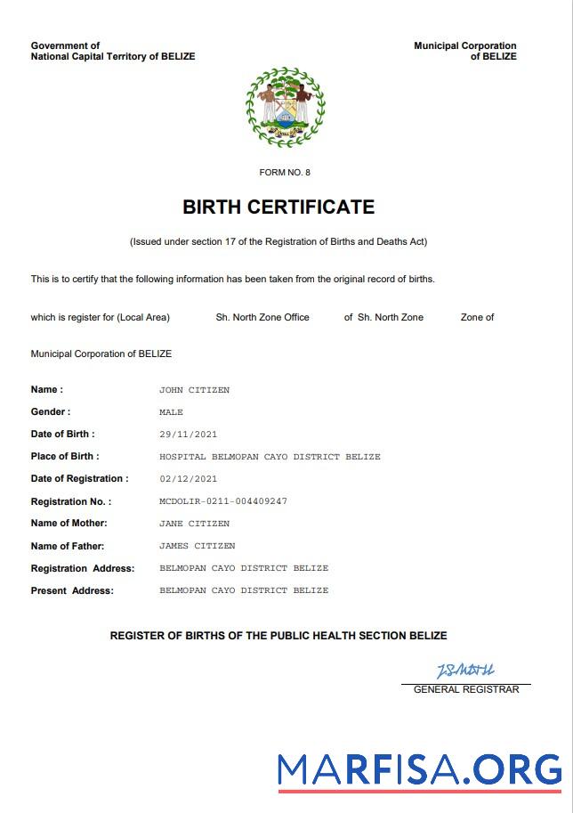 Printable Belize vital record birth certificate Word and PDF template